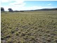 Lot 9 Kooringaroo Road, Goulburn NSW 2580