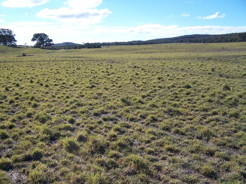 Lot 9 Kooringaroo Road, Goulburn NSW 2580