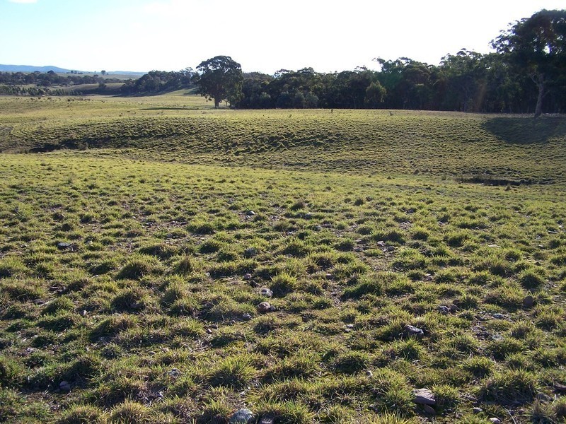 Lot 9 Kooringaroo Road, Goulburn NSW 2580