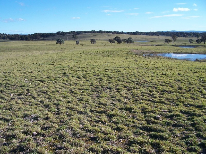 Lot 9 Kooringaroo Road, Goulburn NSW 2580