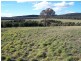 Lot 8 Kooringaroo Road, Goulburn NSW 2580
