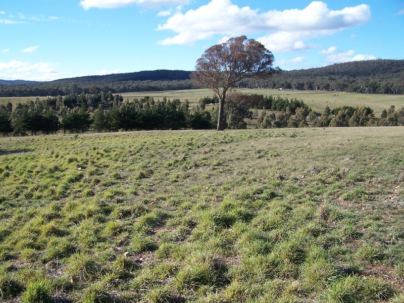 Lot 8 Kooringaroo Road, Goulburn NSW 2580