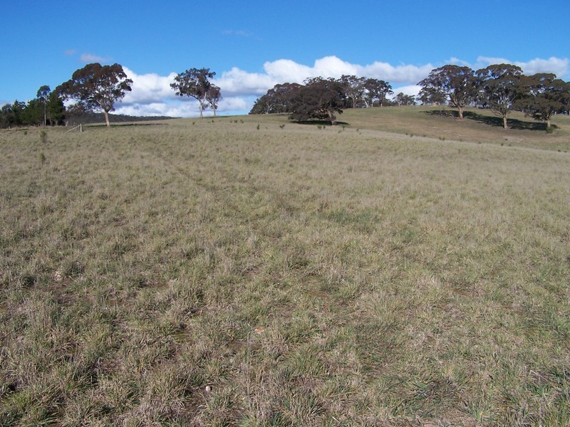 Lot 8 Kooringaroo Road, Goulburn NSW 2580