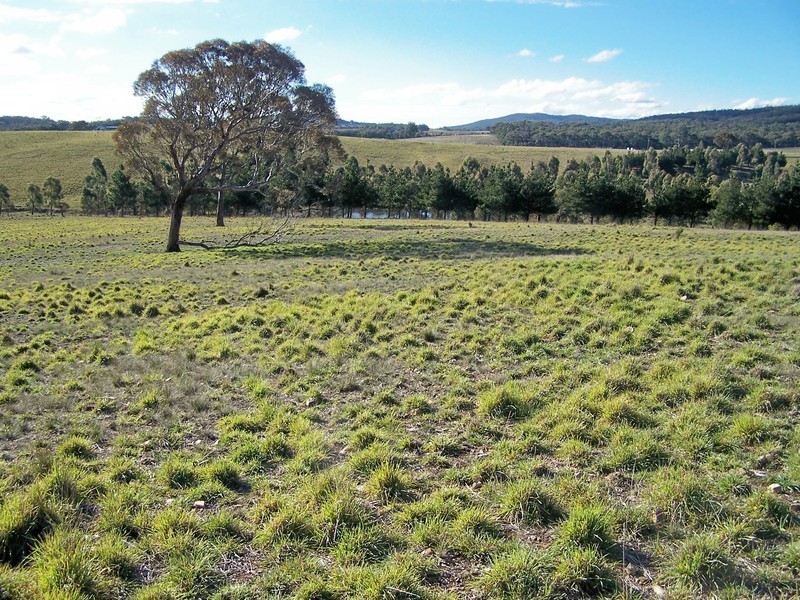 Lot 8 Kooringaroo Road, Goulburn NSW 2580