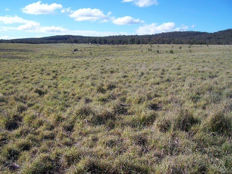 Lot 8 Kooringaroo Road, Goulburn NSW 2580