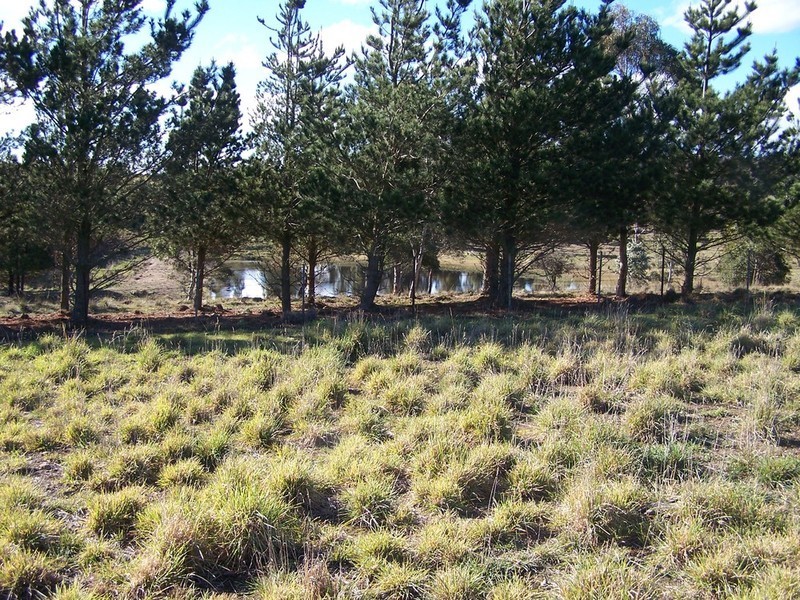 Lot 8 Kooringaroo Road, Goulburn NSW 2580