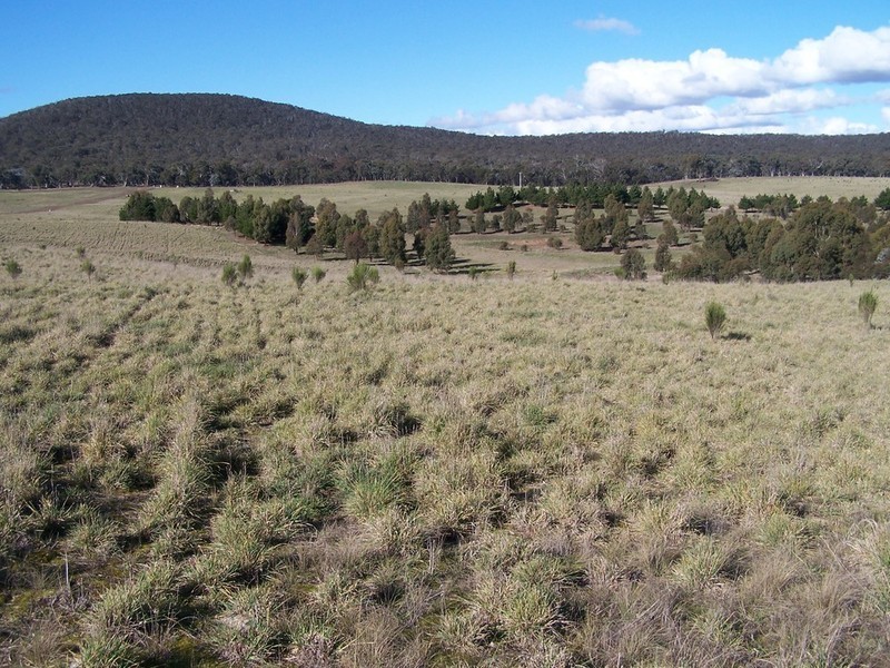 Lot 8 Kooringaroo Road, Goulburn NSW 2580