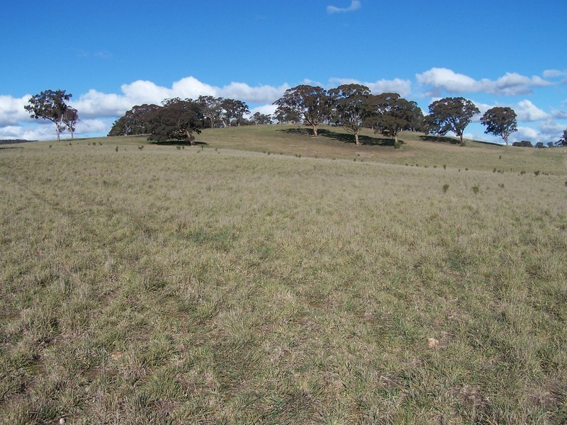 Lot 8 Kooringaroo Road, Goulburn NSW 2580