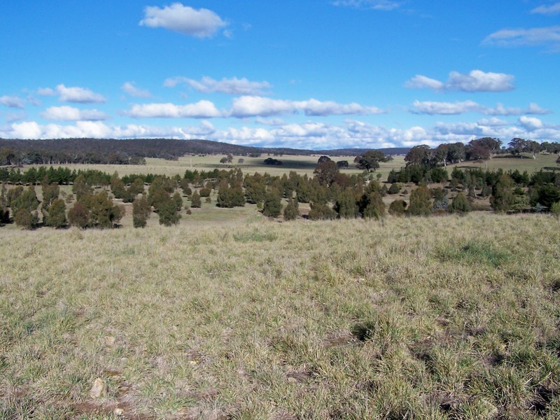 Lot 8 Kooringaroo Road, Goulburn NSW 2580