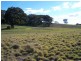 Lot 8 Kooringaroo Road, Goulburn NSW 2580