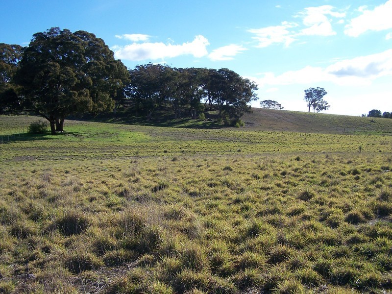 Lot 8 Kooringaroo Road, Goulburn NSW 2580