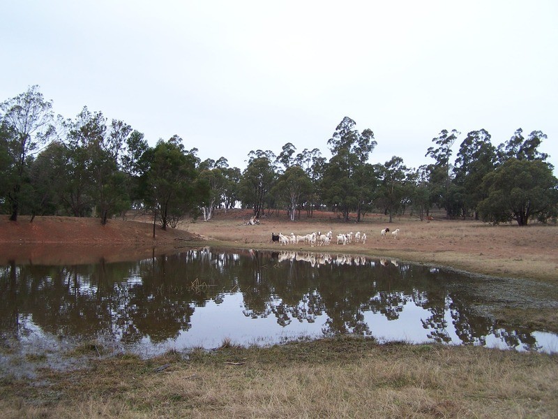 135 Fernleigh Close, Windellama NSW 2580