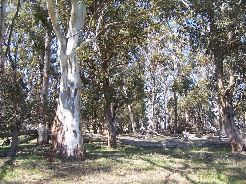 615 Off Kialla Road, Crookwell NSW 2583