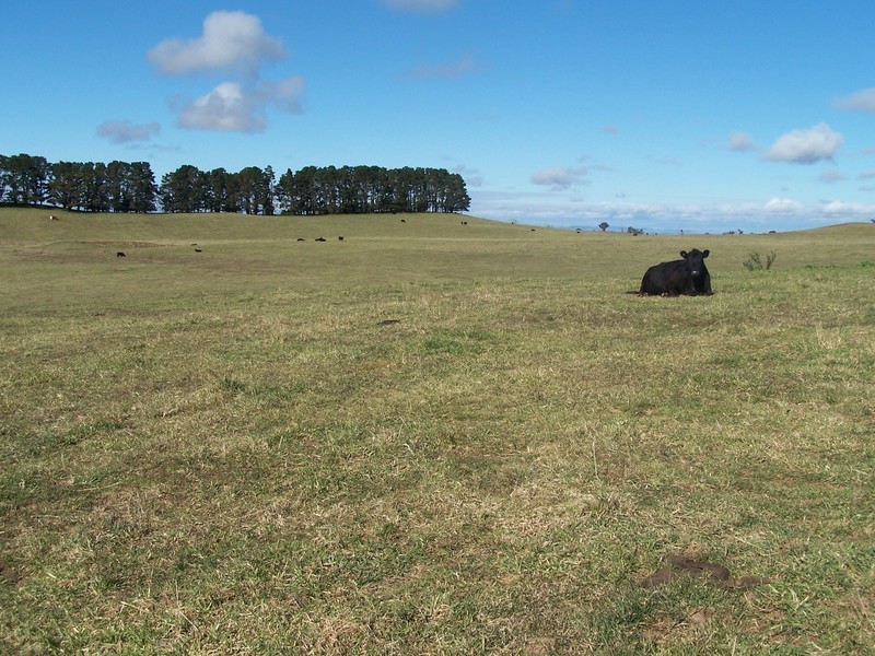 103 Third Creek Road, Crookwell NSW 2583