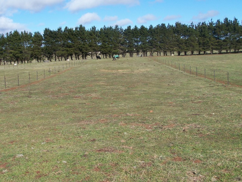 103 Third Creek Road, Crookwell NSW 2583