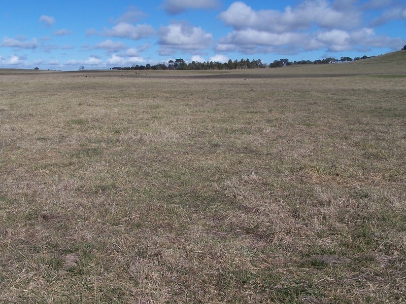 103 Third Creek Road, Crookwell NSW 2583