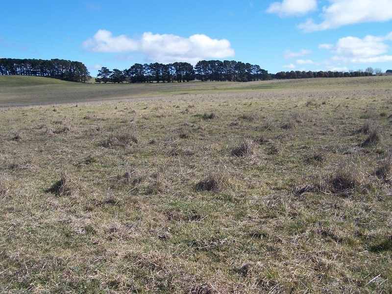 103 Third Creek Road, Crookwell NSW 2583