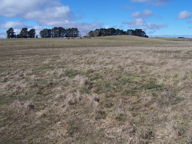 103 Third Creek Road, Crookwell NSW 2583