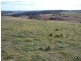 Lot 2 Robbs Corner Rhyanna Road, Goulburn NSW 2580