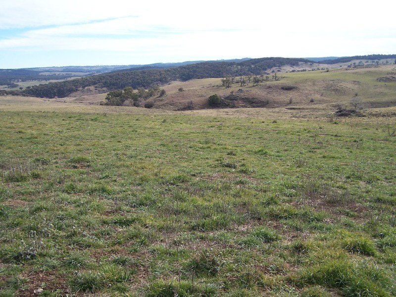 Lot 2 Robbs Corner Rhyanna Road, Goulburn NSW 2580
