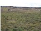Lot 2 Robbs Corner Rhyanna Road, Goulburn NSW 2580