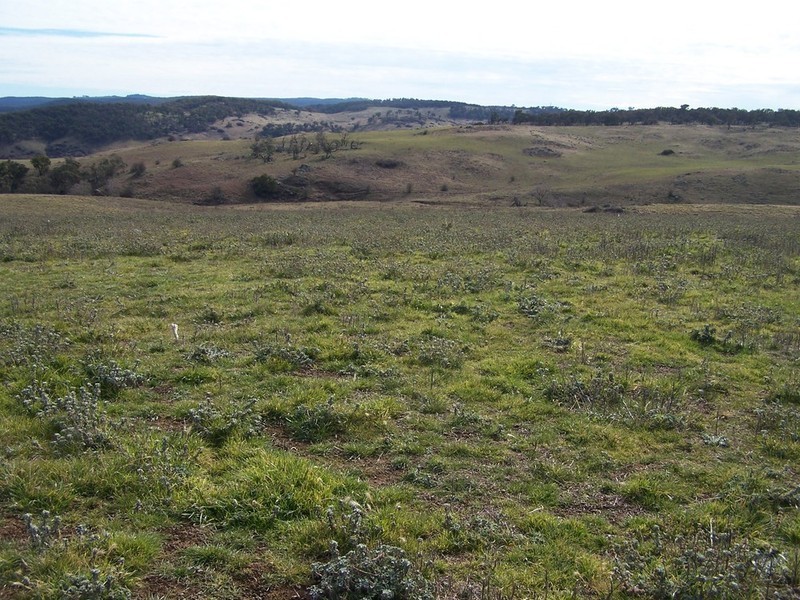 Lot 2 Robbs Corner Rhyanna Road, Goulburn NSW 2580