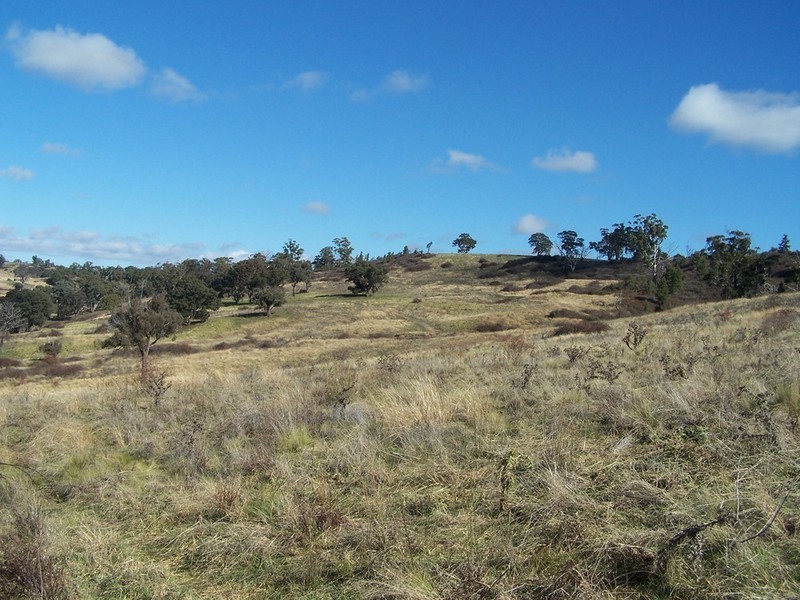 2248 Fullerton Road, Fullerton NSW 2583