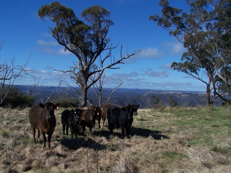 2248 Fullerton Road, Fullerton NSW 2583