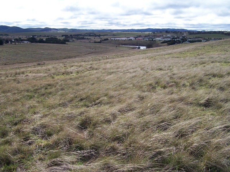 Lot 42 Clyde Street, Goulburn NSW 2580