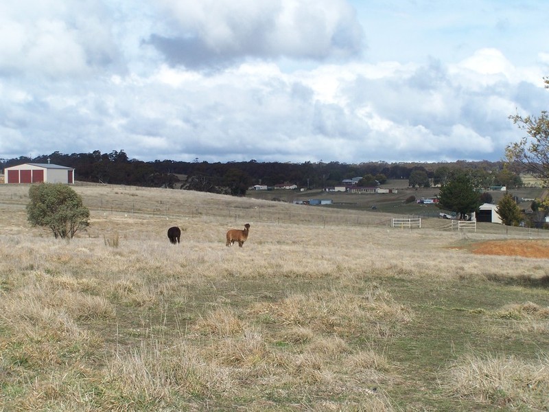 93 Hewitts Lane, Grabben Gullen NSW 2583