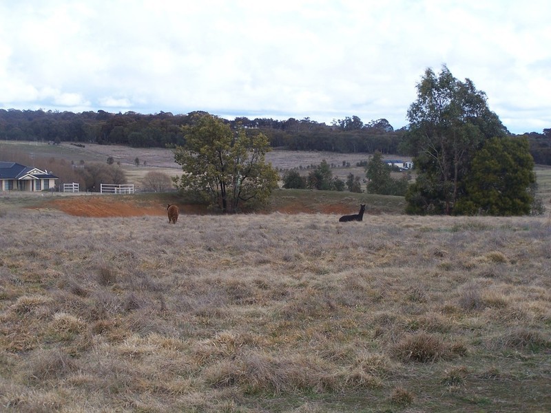 93 Hewitts Lane, Grabben Gullen NSW 2583