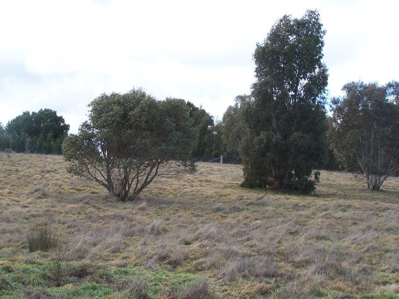 93 Hewitts Lane, Grabben Gullen NSW 2583