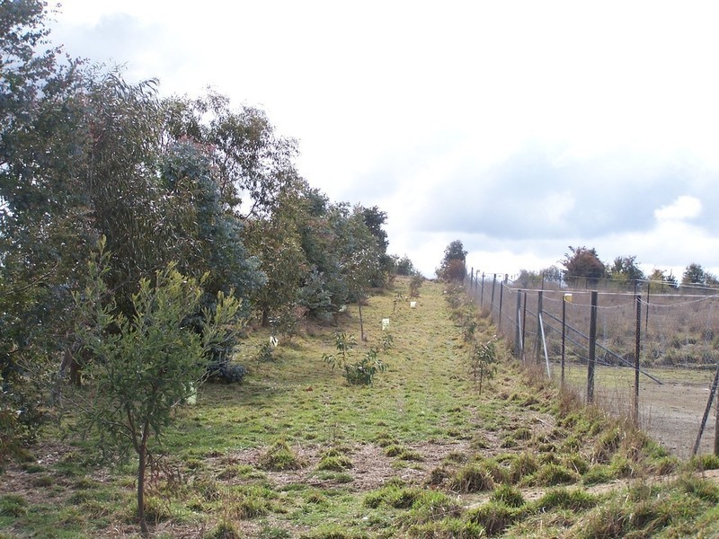 93 Hewitts Lane, Grabben Gullen NSW 2583