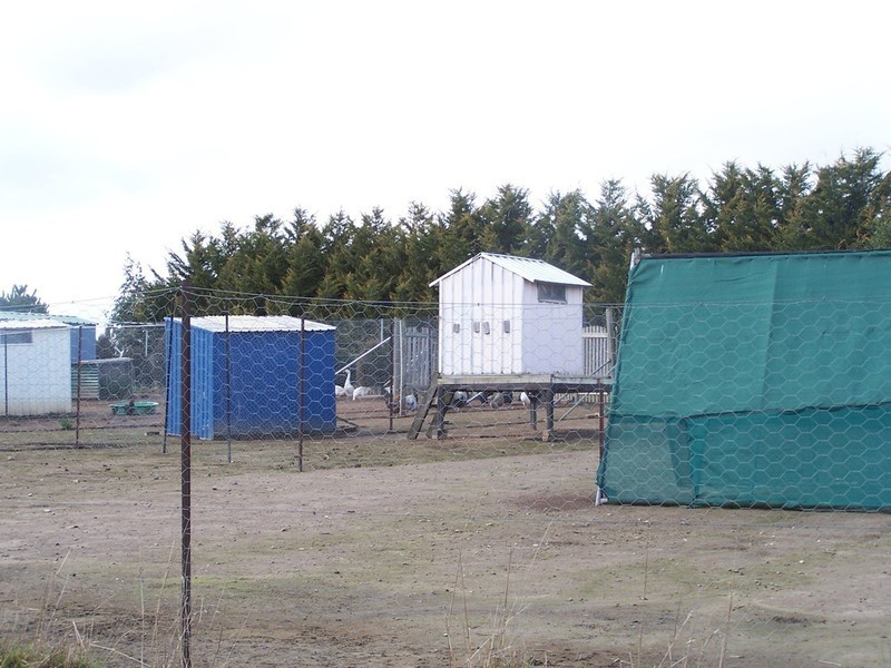 93 Hewitts Lane, Grabben Gullen NSW 2583