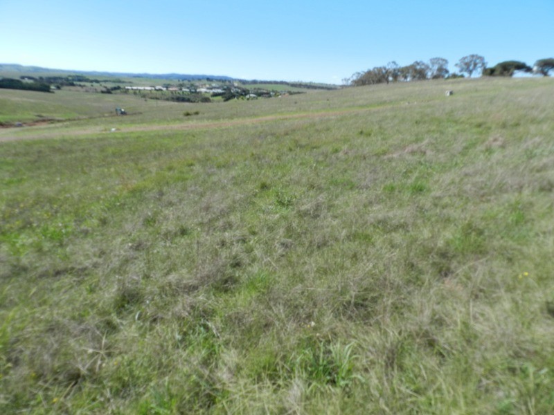 Lot 43 Clyde Street, Goulburn NSW 2580