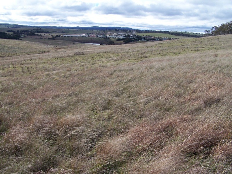 Lot 43 Clyde Street, Goulburn NSW 2580