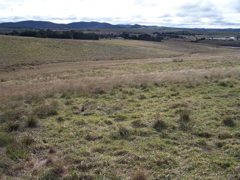 Lot 43 Clyde Street, Goulburn NSW 2580
