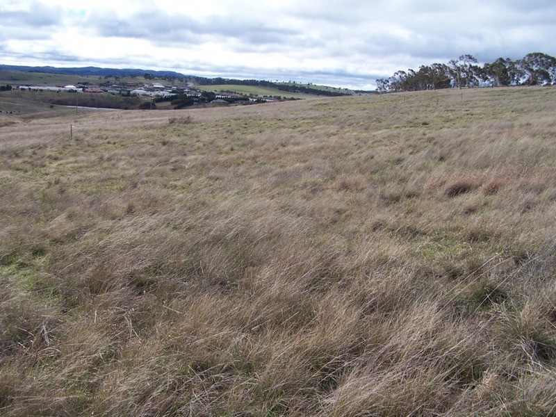 Lot 43 Clyde Street, Goulburn NSW 2580