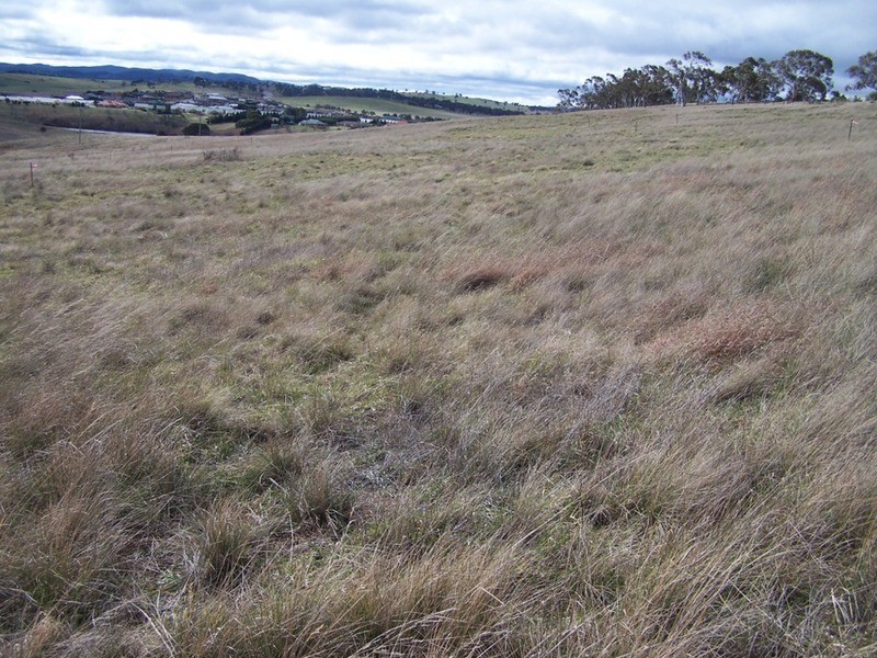 Lot 43 Clyde Street, Goulburn NSW 2580