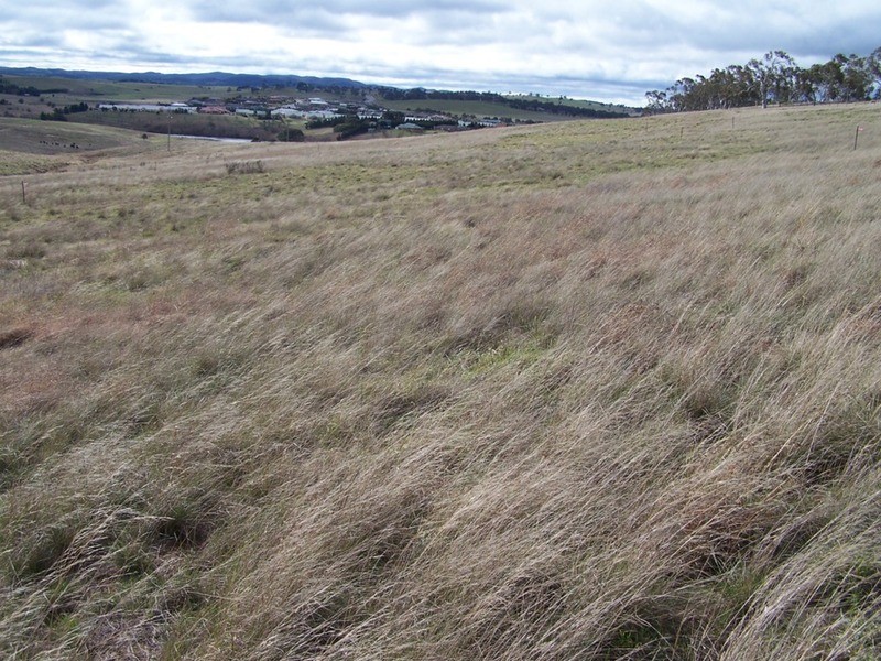 Lot 43 Clyde Street, Goulburn NSW 2580