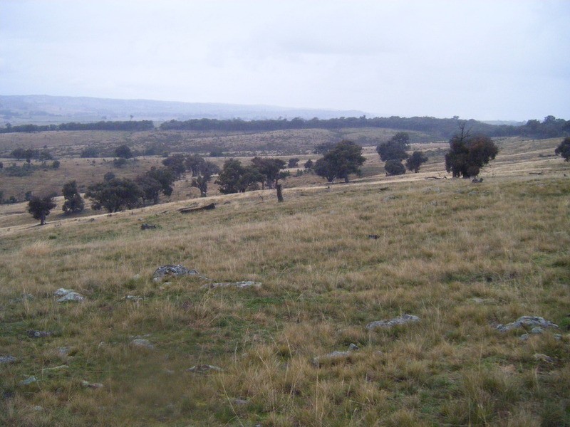 Lot 3 Bulleys Crossing Road, Biala NSW 2581