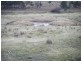 Lot 3 Bulleys Crossing Road, Biala NSW 2581