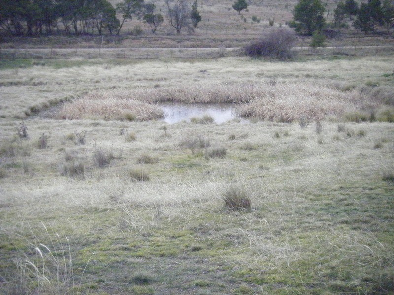 Lot 3 Bulleys Crossing Road, Biala NSW 2581