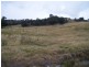 Lot 3 Bulleys Crossing Road, Biala NSW 2581
