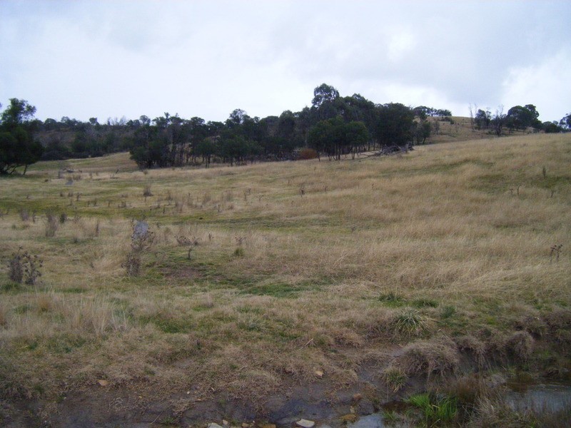 Lot 3 Bulleys Crossing Road, Biala NSW 2581