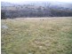 Lot 3 Bulleys Crossing Road, Biala NSW 2581