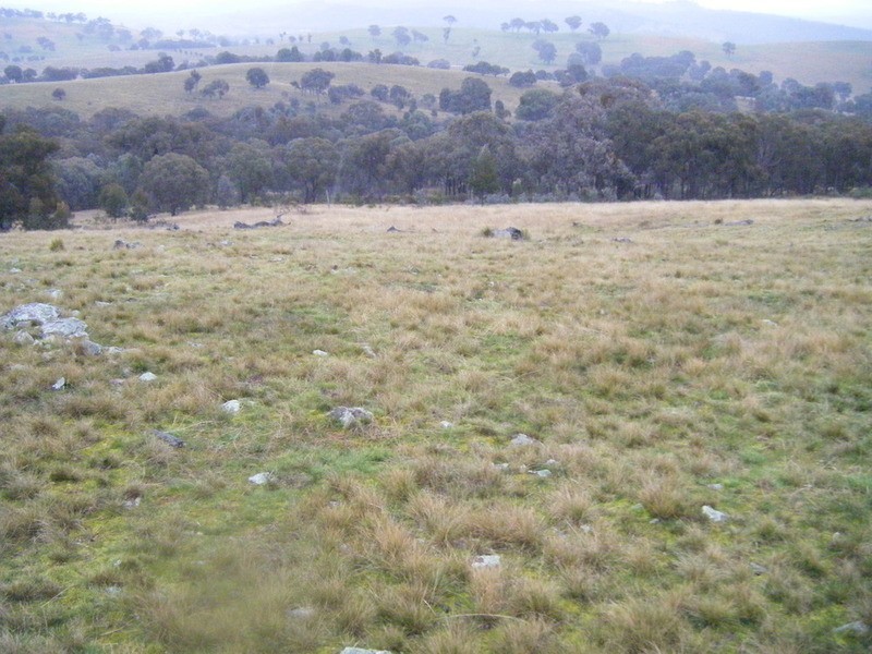 Lot 3 Bulleys Crossing Road, Biala NSW 2581