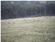 Lot 3 Bulleys Crossing Road, Biala NSW 2581