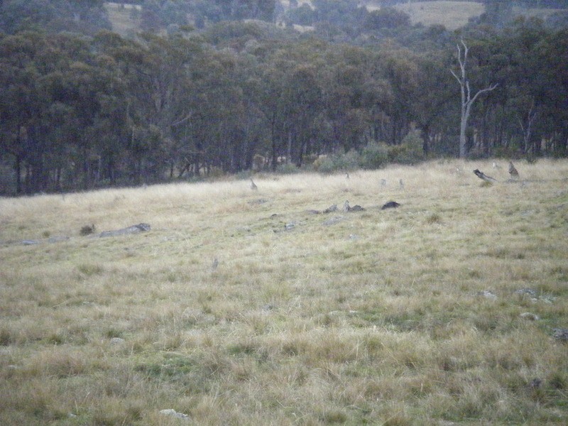 Lot 3 Bulleys Crossing Road, Biala NSW 2581