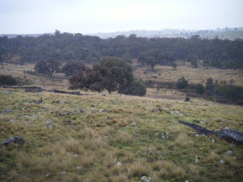 Lot 3 Bulleys Crossing Road, Biala NSW 2581